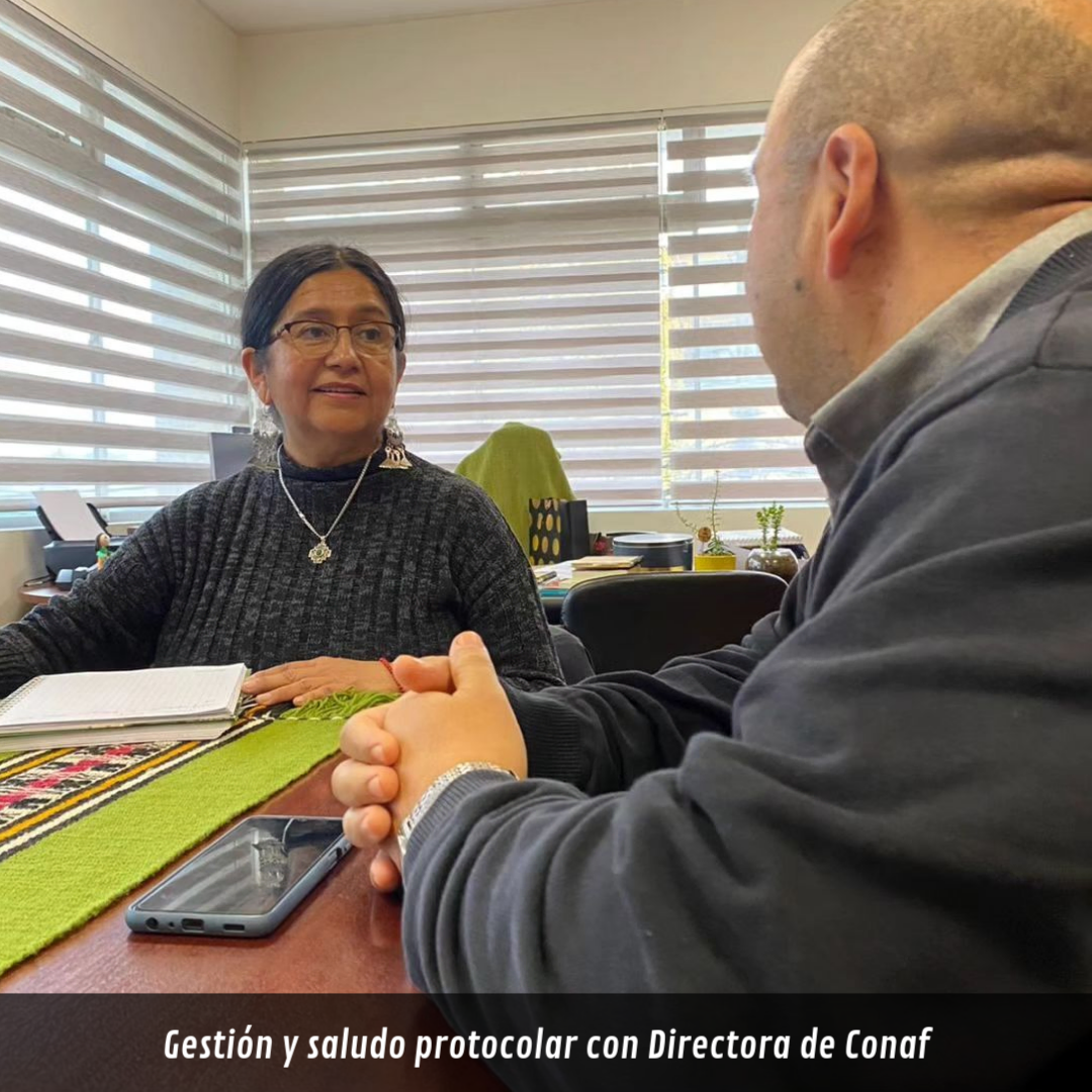 Gestión y saludo protocolar con Directora de Conaf